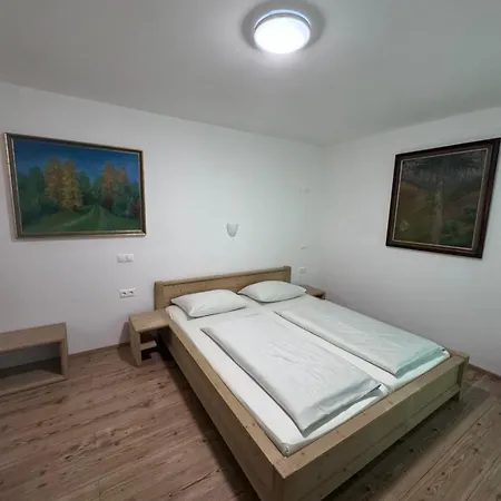 Guest house Tolc Spodnja Sorica
