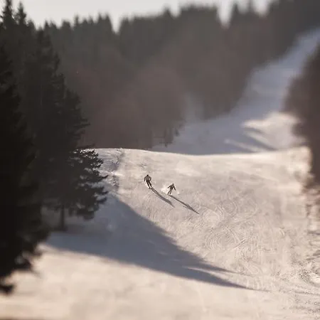 Vendégház Tolc Spodnja Sorica