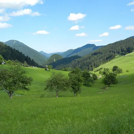 Gasthof Tolc 3*