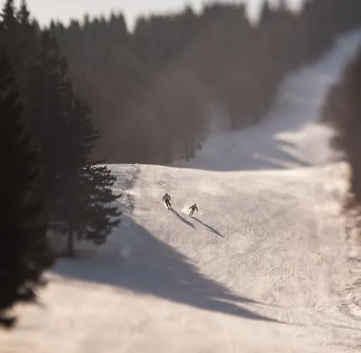 ゲストハウス Tolc Spodnja Sorica