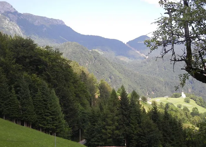 ゲストハウス Tolc