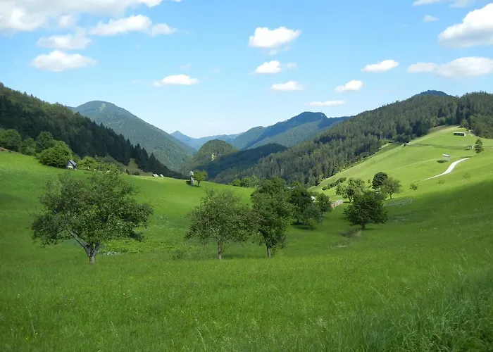 ゲストハウス Tolc 3*