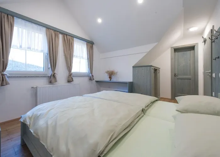 ゲストハウス Tolc Spodnja Sorica